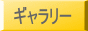 ギャラリー