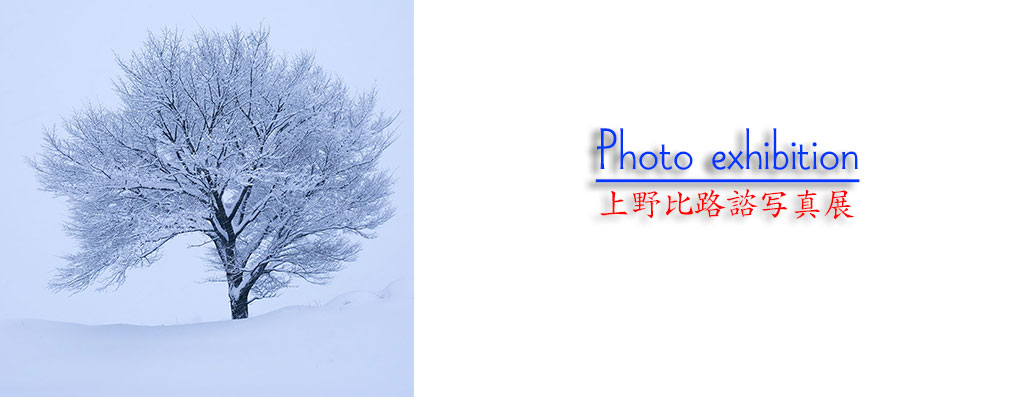 【岩手美人盛岡写真館】写真家 上野比路諮